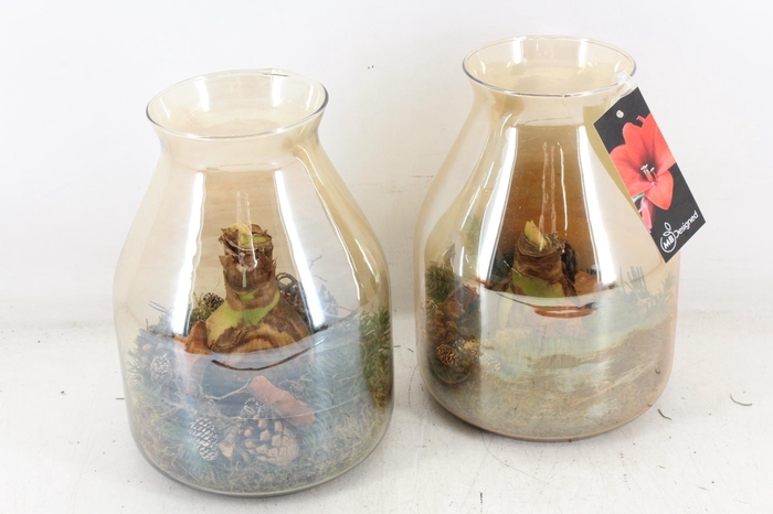 <h4>arr4 Amaryllis MB - Goud vaas mystic 285/6</h4>