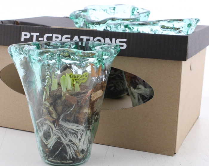 Arr Tete A Tete In Zware Glazen Vaas