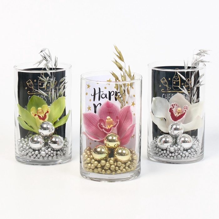 <h4>CYMB VERPAKT P BLOEM 3026</h4>