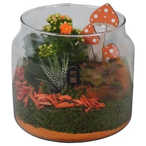 PTHG8221 Arrangement Autumn Glass in glazen vaas