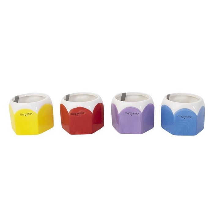 <h4>EMBALLAGE - EMPTY POT MAGNETIZED</h4>