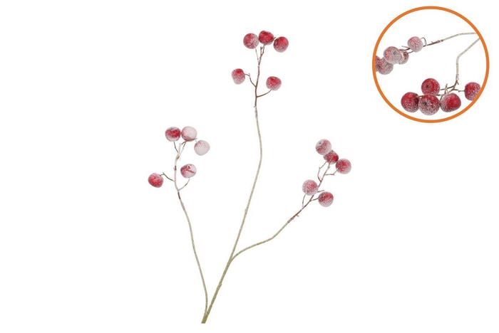 Silk Apple Snow Red 93cm