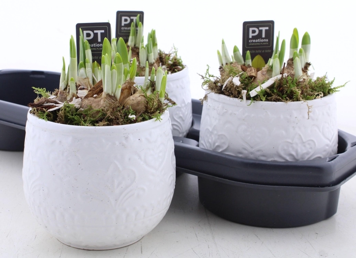 <h4>ARR N TETE A TETE</h4>