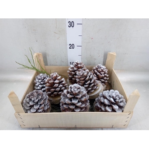 Decoratieve materialen   ...H%