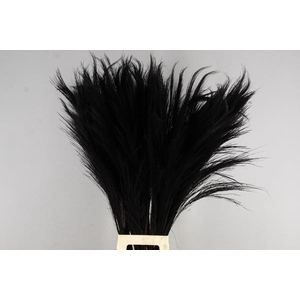 Df Broom Grass 110cm Bs Black