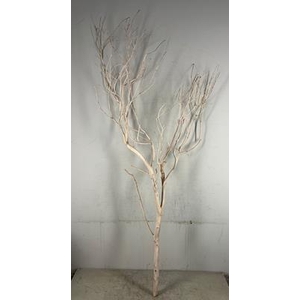 Manzanita Sandblasted 150cm