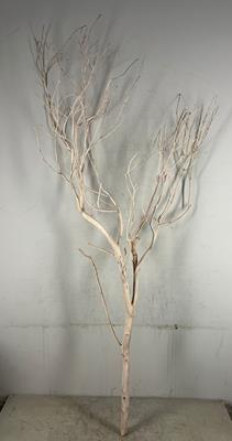 <h4>Manzanita Sandblasted 150cm</h4>