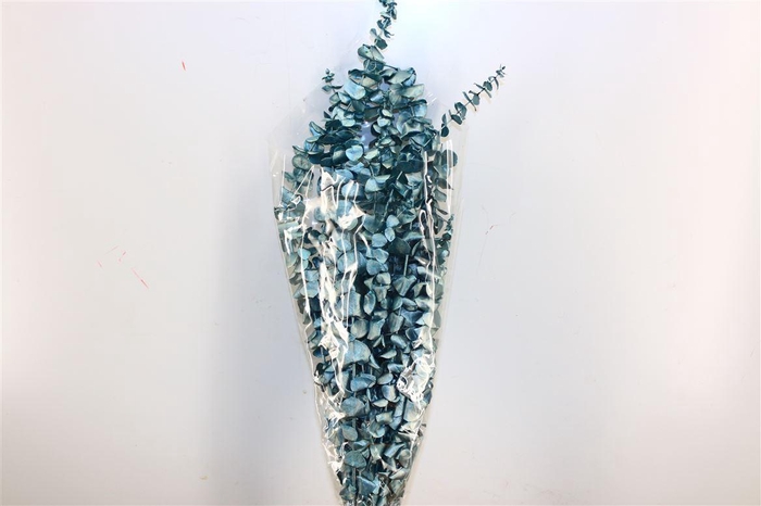 <h4>Pres Euca Baby Blue Metal Blue Bunch</h4>