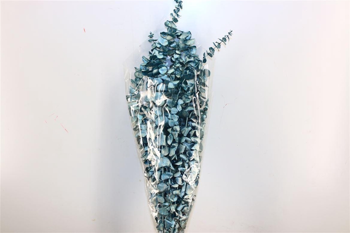 <h4>Pres Euca Baby Blue Metal Blue Bunch</h4>