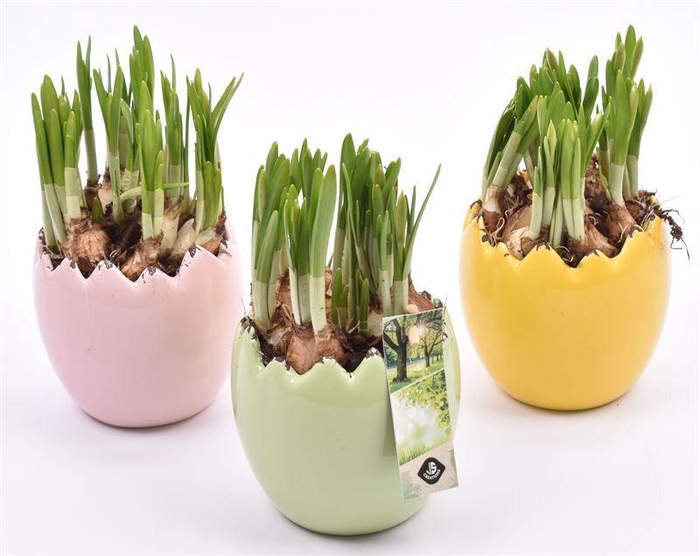 <h4>Keramiek ei kleur mix 10cm</h4>