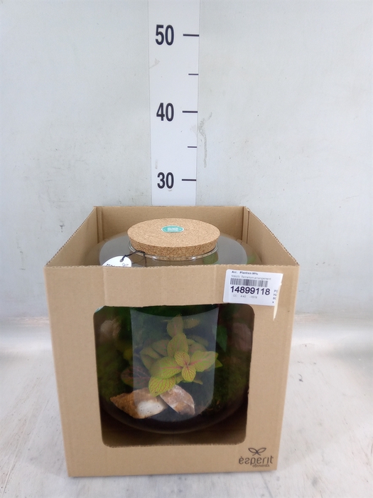 <h4>Arr.   Planten H%</h4>
