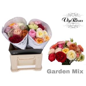 R GR GARDEN MIX