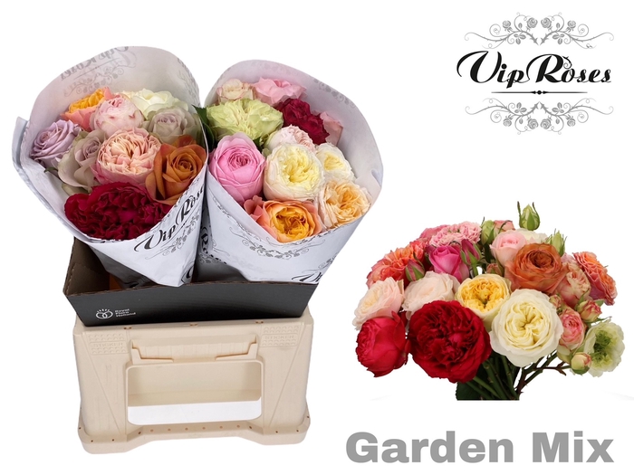 R GR GARDEN MIX