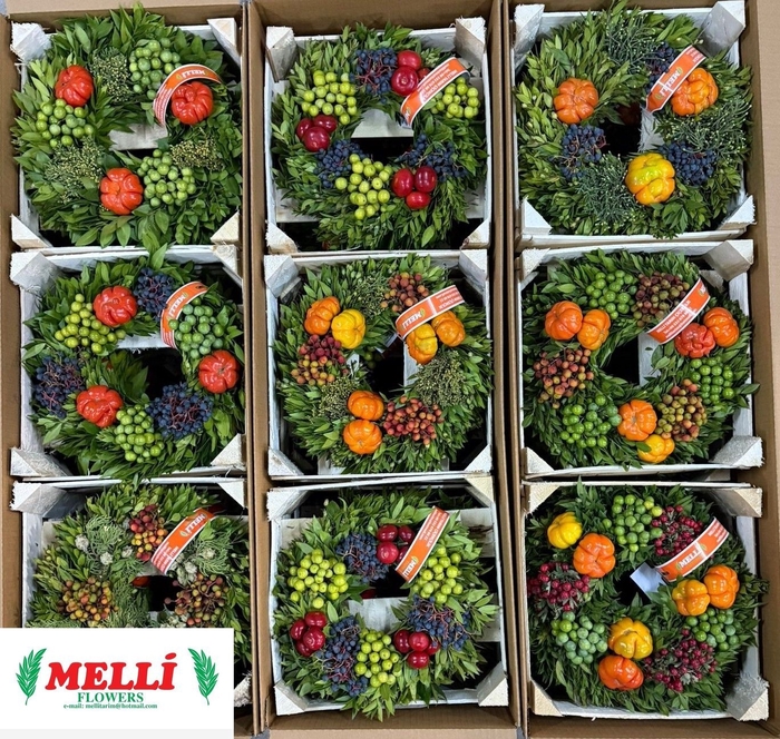 <h4>SIERFRUIT KRANS H%</h4>