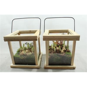 3234 HOUTEN LANTAARN TETE