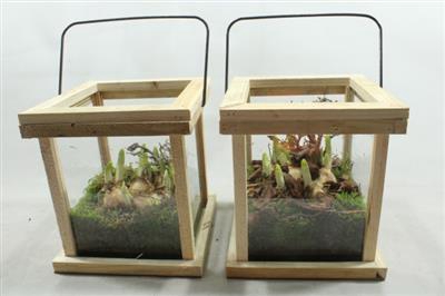 <h4>3234 HOUTEN LANTAARN TETE</h4>