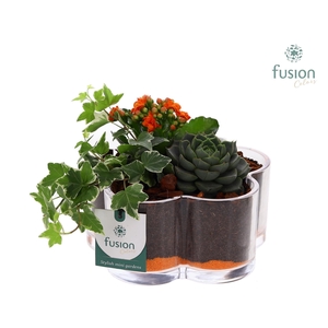 Glazen Bloemschaalmet arrangement