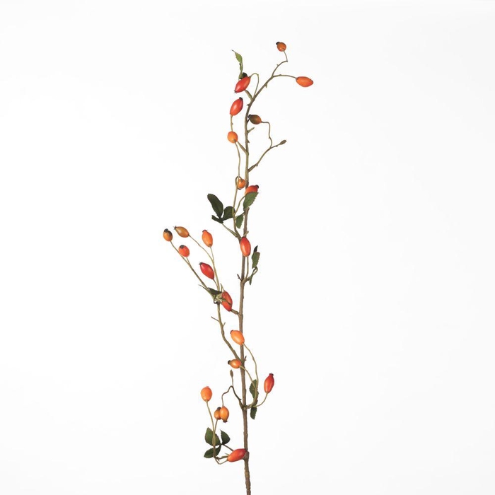 <h4>AF Rosehip Zaffiro Sp L109cm O</h4>