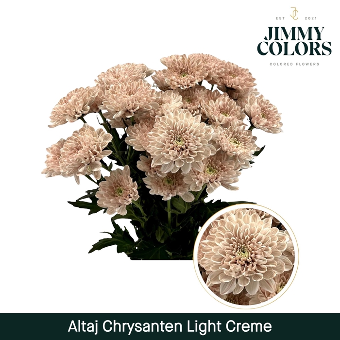 <h4>Chr T Altaj Light Creme</h4>