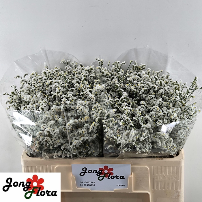 <h4>LIM SIN MOUNTAIN DIA</h4>