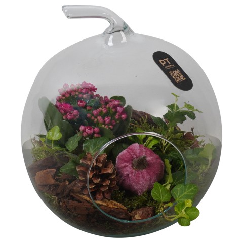 <h4>PTHG3413 Arrangementen kamerplanten</h4>