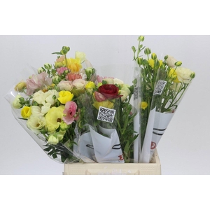 RAN BUTTERFLY GEM BS