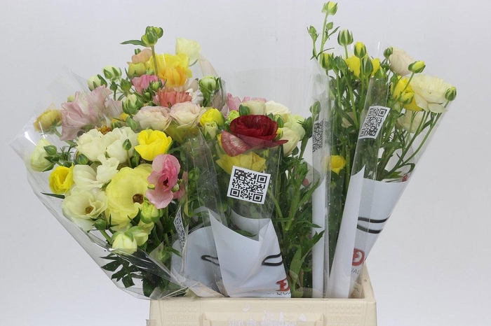 <h4>RAN BUTTERFLY GEM BS</h4>