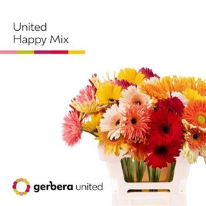 Ge Gr United Happy Mix