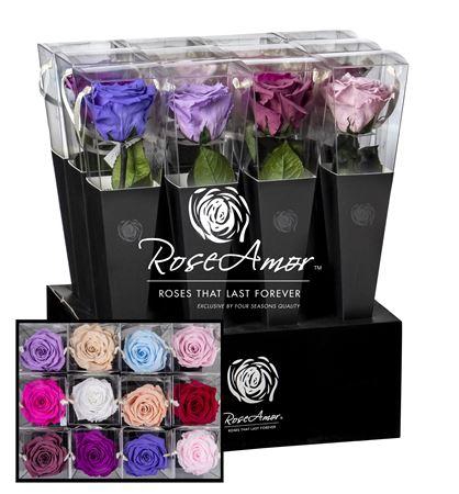 <h4>Lori 30cm Assorted Pastel</h4>