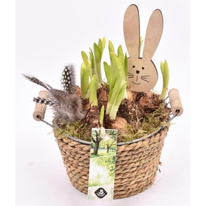 Touw met zink schaal 15cm