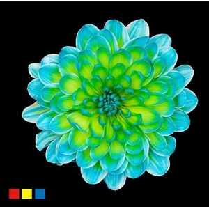 Chr T Altaj Double Mint