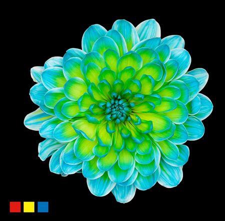 <h4>Chr T Altaj Double Mint</h4>