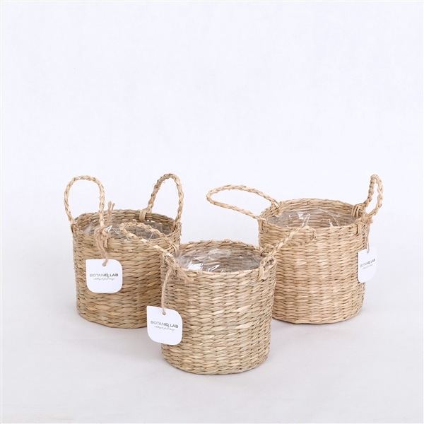 <h4>City Safari P9 cm basket excl. plants</h4>