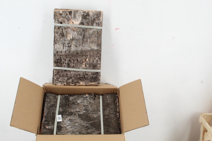 <h4>Birch Bark Pack 42x27cm(7p)</h4>