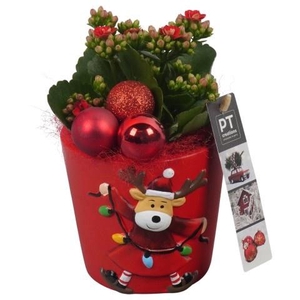 Opm Pt PTCHR7282 X-mas Red Keramiek Pot