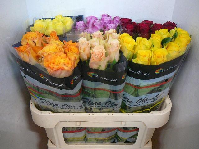 <h4>R GR GEM IN FUST</h4>