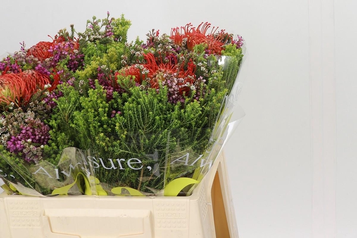 <h4>BQ Nutans 2 Flower</h4>