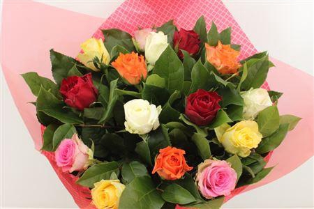 <h4>Boeket Roos Rainbow</h4>