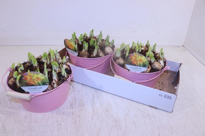 <h4>ARR N TETE A TETE</h4>