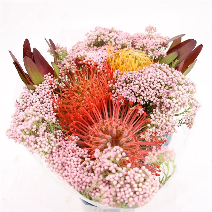 <h4>Bouquet Incl 3 Pin With Ozo & Safari</h4>