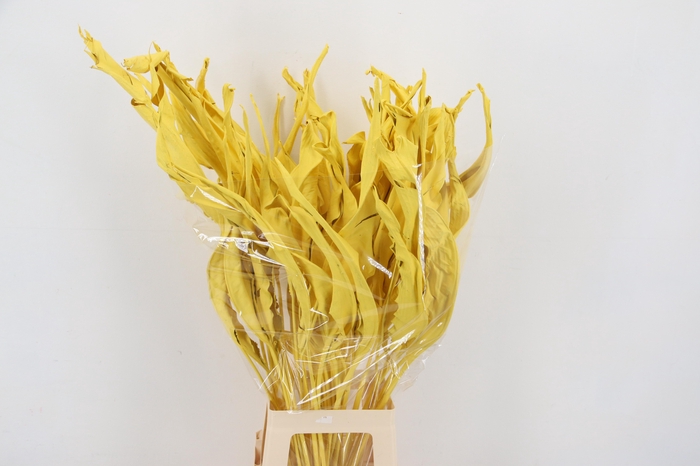 <h4>DF Strelitzia Leaf Yellow</h4>