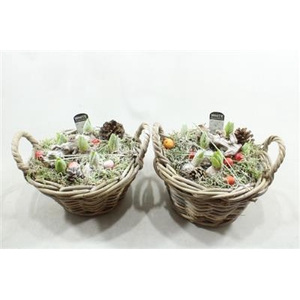 1138 Rotan Mand Hyac