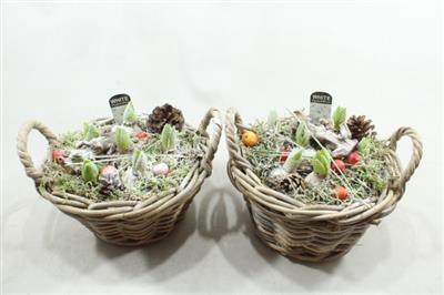 <h4>1138 ROTAN MAND HYAC</h4>