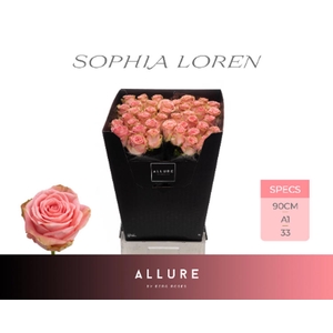R Gr Sophia Loren Allure Berg