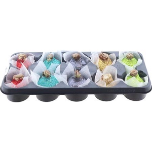 Bloembol Hippeastrum Wax