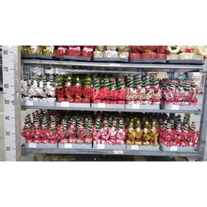 Chamaecyparis laws. 'Ellwoodii'