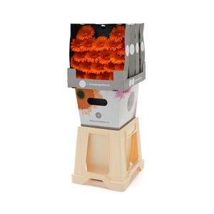 Germini Max Diamond
