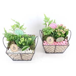 arr2 PL - Draadmand jute 4kant - roze/wit