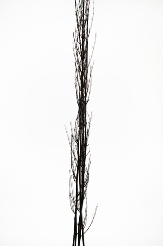 BAMBOO VERTAKT 2METER BRUIN