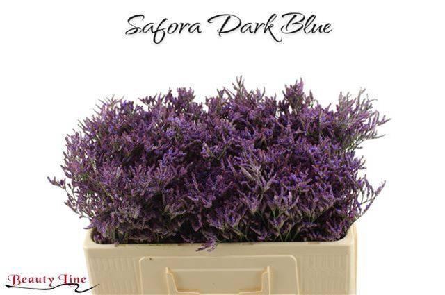 <h4>LIM SAF DARK BLUE</h4>